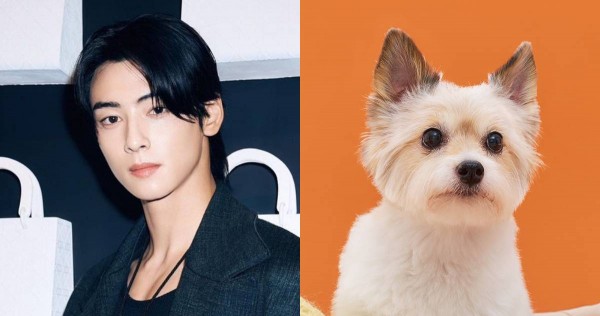 Cha Eun-woo se pone golosina para perros en la boca para que su co-protagonista canino coopere