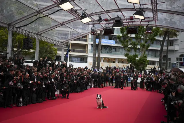 messi-lhp cannes