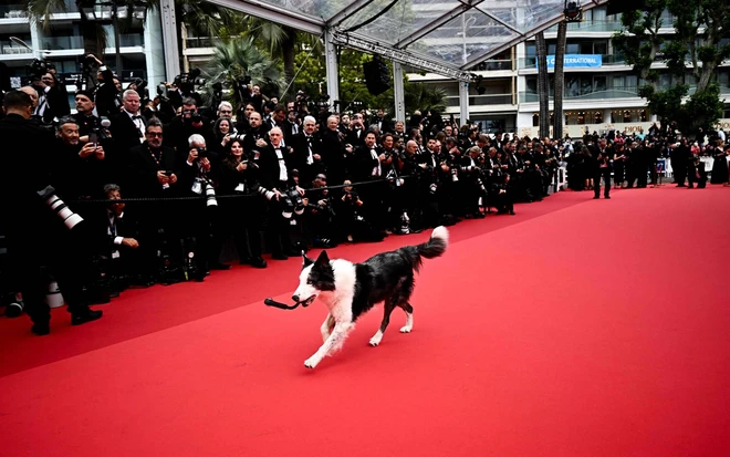 messi-lhp cannes